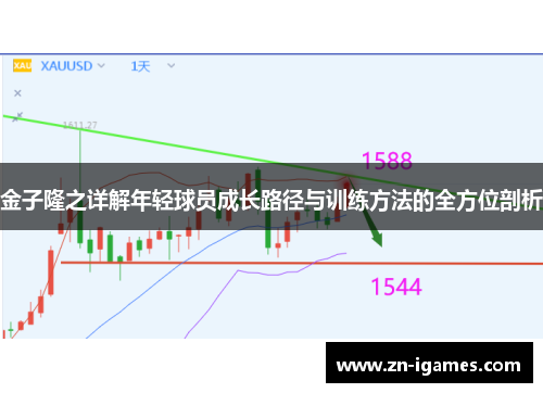 金子隆之详解年轻球员成长路径与训练方法的全方位剖析